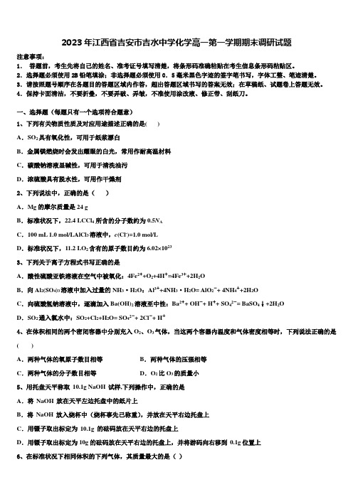 2023年江西省吉安市吉水中学化学高一第一学期期末调研试题含解析