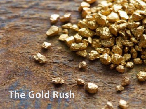 gold rush淘金热英文简介