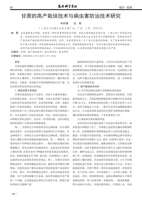 甘蔗的高产栽培技术与病虫害防治技术研究