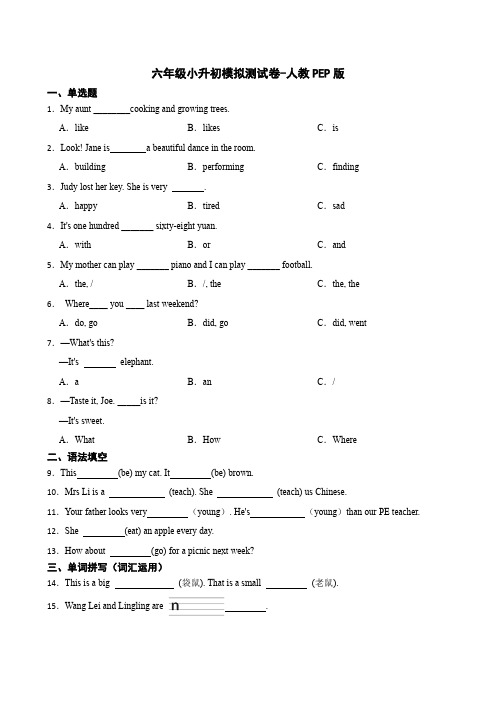 人教PEP版六年级下册英语小升初试题(含答案)