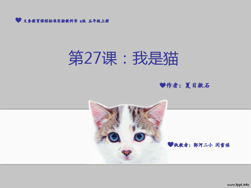 语文s版五年级 夏目漱石《 我是猫 》精致 完整ppt