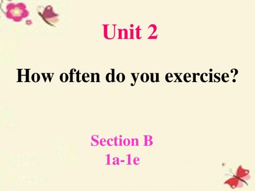 【学海风暴】2015-2016学年八年级英语上册 Unit 2 How often do you exercise Section B(1a-1e)课件