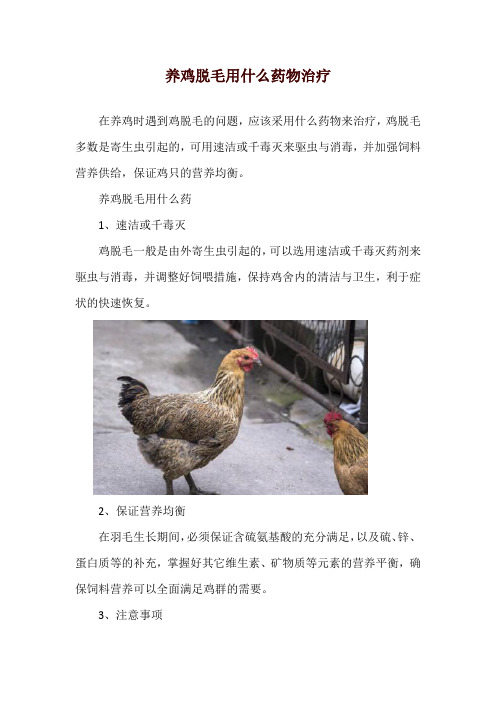 养鸡脱毛用什么药物治疗