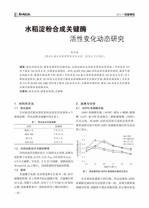 水稻淀粉合成关键酶活性变化动态研究