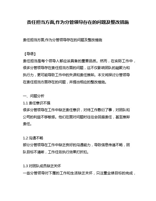 责任担当方面,作为分管领导存在的问题及整改措施