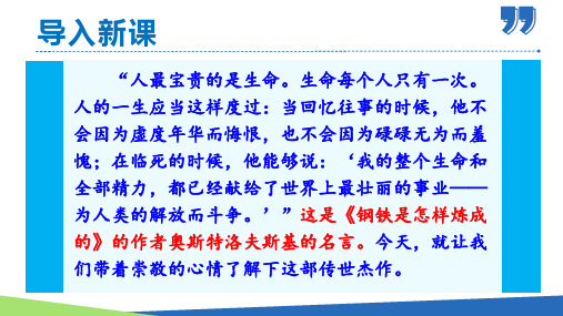 名著导读：《钢铁是怎样炼成的》摘抄和做笔记(课件)八年级语文下册(部编版)