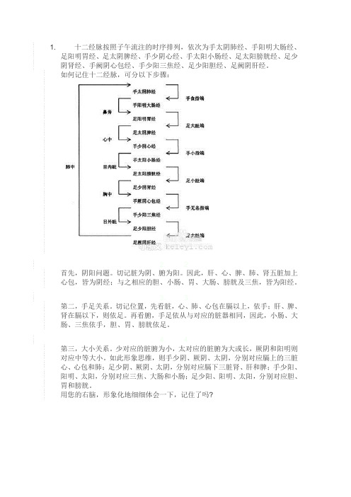 十二经脉按照子午流注的时序排列