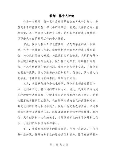 教师工作个人评价