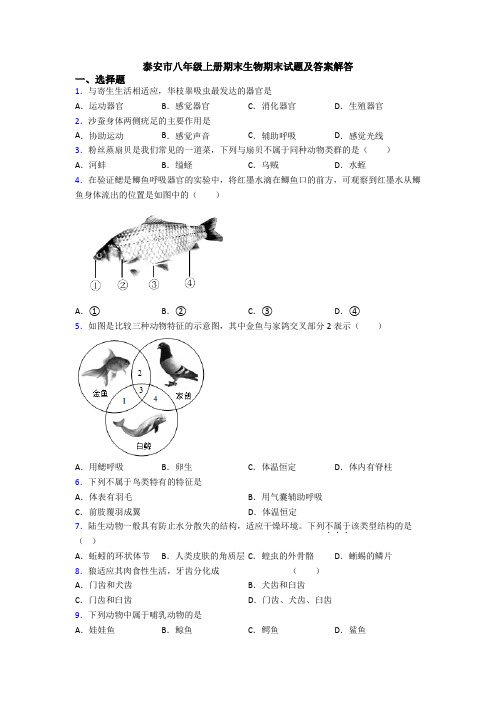 泰安市八年级上册期末生物期末试题及答案解答