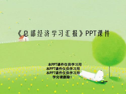 《总部经济学习汇报》PPT课件