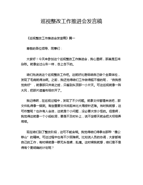 巡视整改工作推进会发言稿