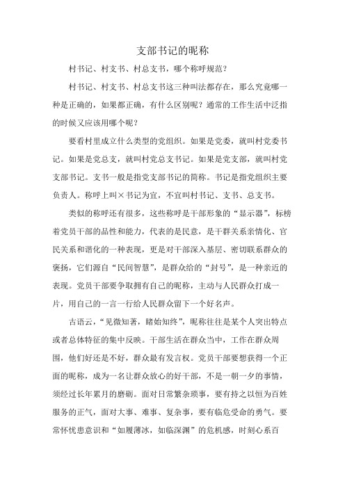 支部书记的昵称