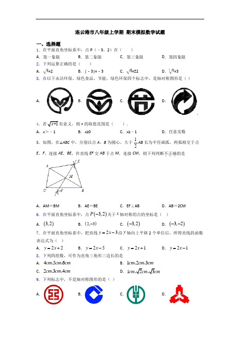 连云港市八年级上学期 期末模拟数学试题