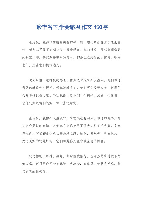 珍惜当下,学会感恩,作文450字