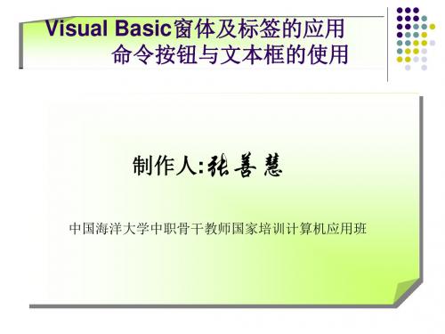 Visual Basic窗体及标签的应用 命令按钮与文本框的使用.