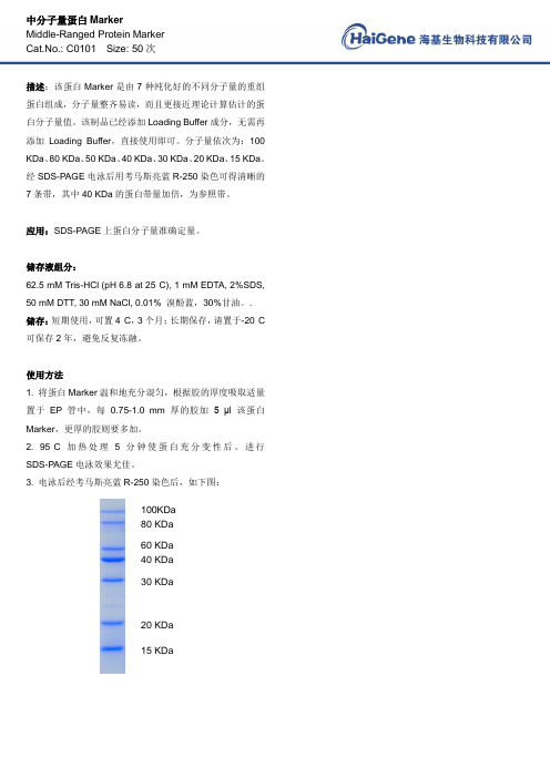 中分子量蛋白marker
