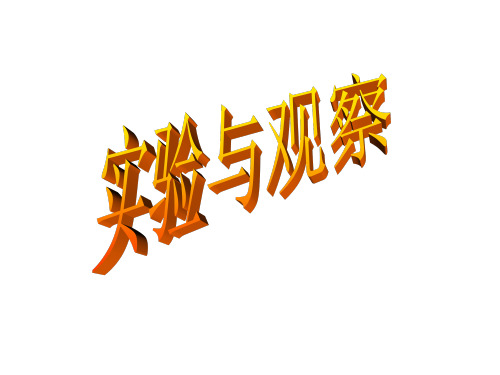 实验与观察--浙教版(新编2019教材)