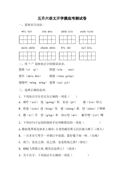 五升六摸底考测试卷(十)(试题)统编版语文五年级下册1