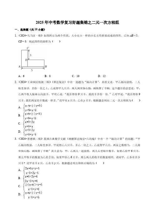 2025年中考数学复习好题集锦之二元一次方程组