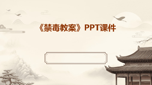 《禁毒教案》PPT课件