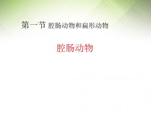 人教版八年级上册生物 5.1.1 腔肠动物 (共19张PPT)