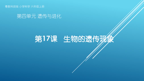 粤教版小学科学六年级上册第17课《生物的遗传现象》教学课件