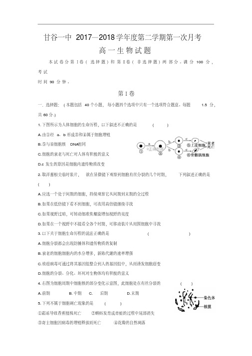 甘肃省甘谷县一中2017-2018学年高一下学期第一次月考生物试卷