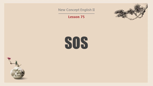 【NCE2】新概念英语第二册Lesson 75课件