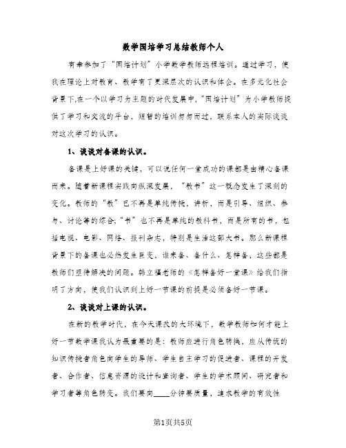 数学国培学习总结教师个人（2篇）