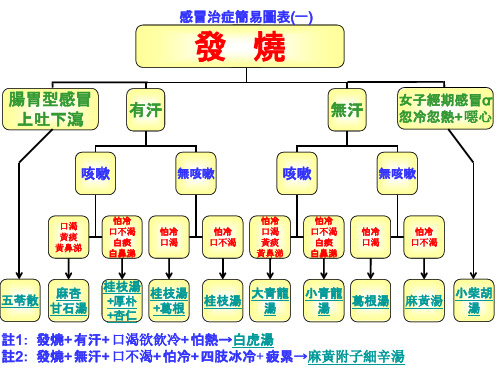 关于感冒的一些建议倪海厦编