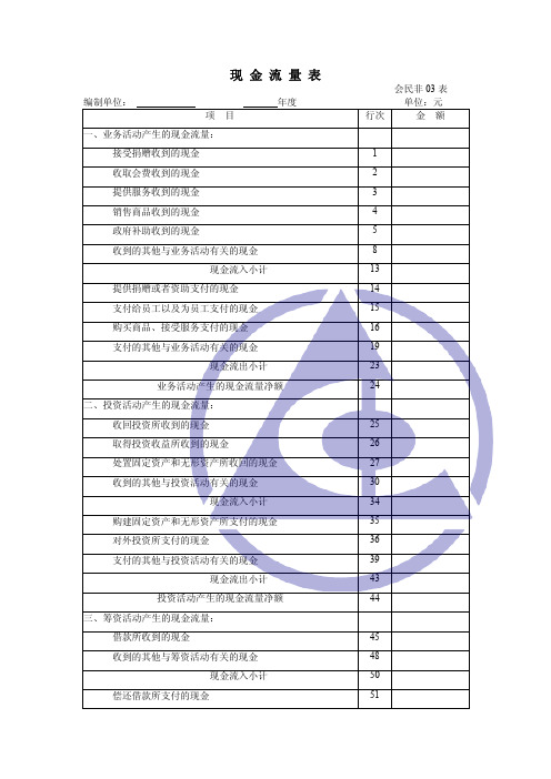 民间非营利组织的现金流量表