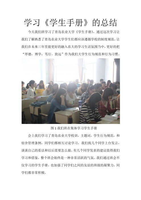 关于学习学生手册的总结