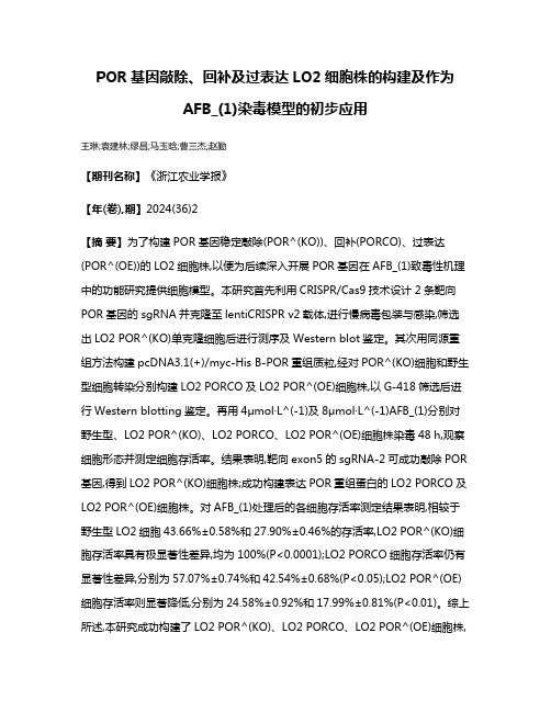 POR基因敲除、回补及过表达LO2细胞株的构建及作为AFB_(1)染毒模型的初步应用