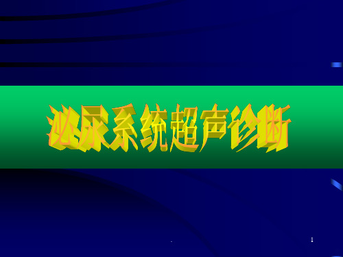 泌尿系疾病的B超诊断PPT课件