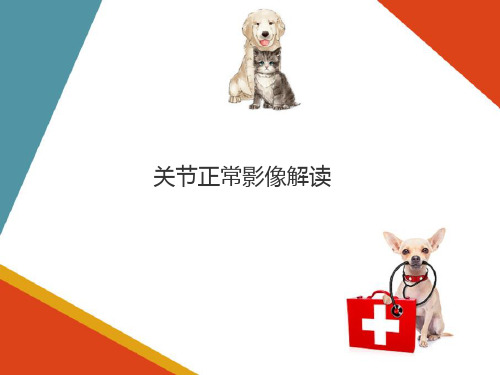 X线影像正常结构与病变表现—骨与关节X线解剖与病变表现