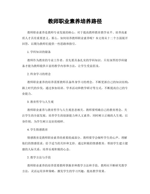 教师职业素养培养路径