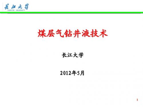 3-1.煤层气钻井液技术研究