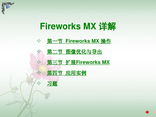 Fireworks_MX详解