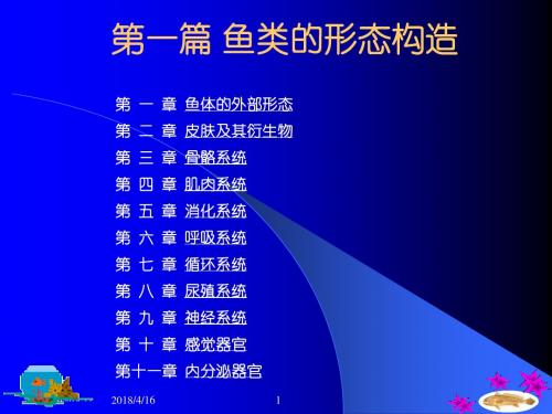 2018年学习鱼类学-鱼类的形态构造教材课件PPT