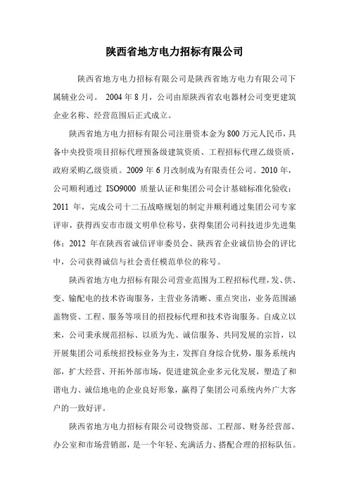 陕西省地方电力招标有限公司.doc