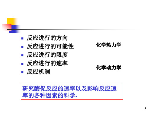 酶动力学课件1财富值.ppt