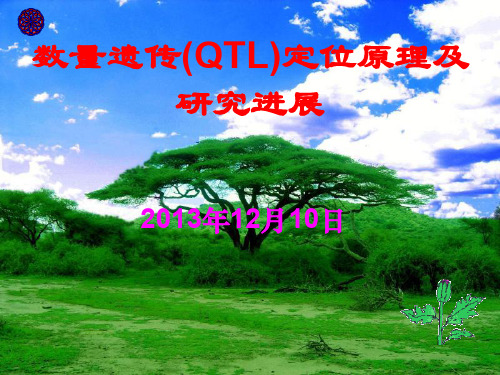 数量遗传(QTL)定位的原理及研究进展(ppt文档可编辑修改)