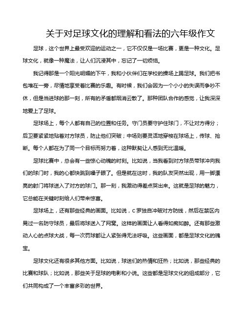 关于对足球文化的理解和看法的六年级作文