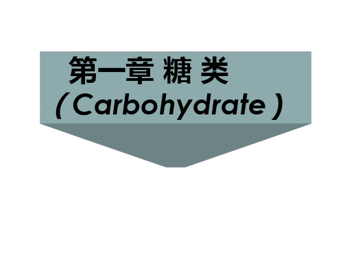 生物化学糖类(第一章)