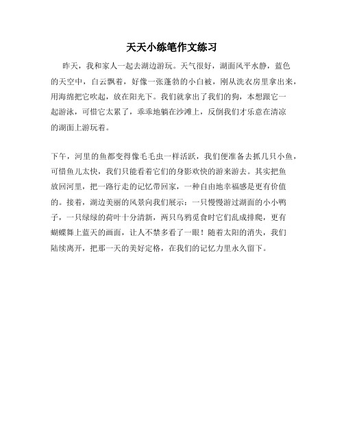 天天小练笔作文练习