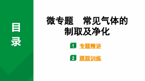 2024中考化学试题研究微专题 常见气体的制取及净化 (课件)