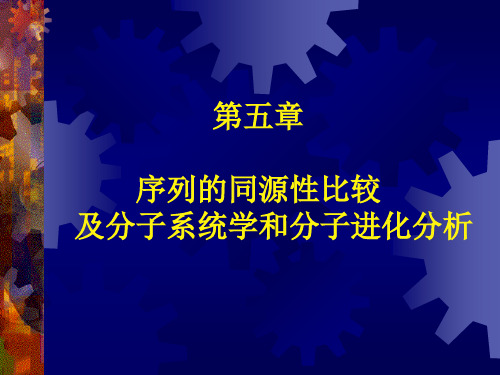 序列的同源性比较及分子系统学和分子进化分析