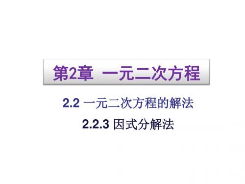 用因式分解法解一元二次方程.2.3《因式分解法》ppt课件