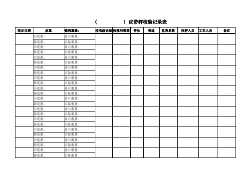 皮带秤校验记录表