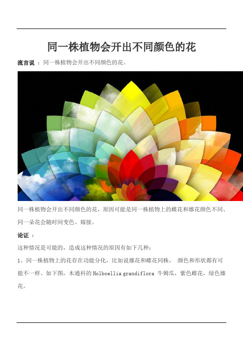 同一株植物会开出不同颜色的花
